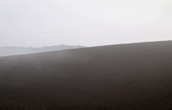 Picture field, nature, fog