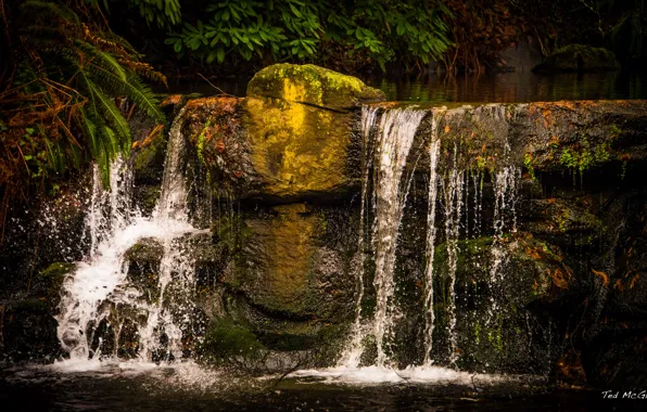Waterfall, Canada, Vancouver, Vancouver, Stanely Park