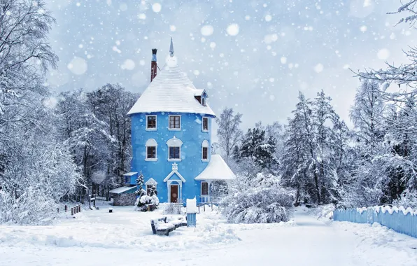 Winter, snow, trees, house, yard, plot