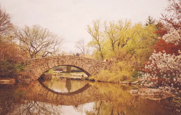 Trees, bridge, lake, reflection, New York, mirror, cherry, Central Park