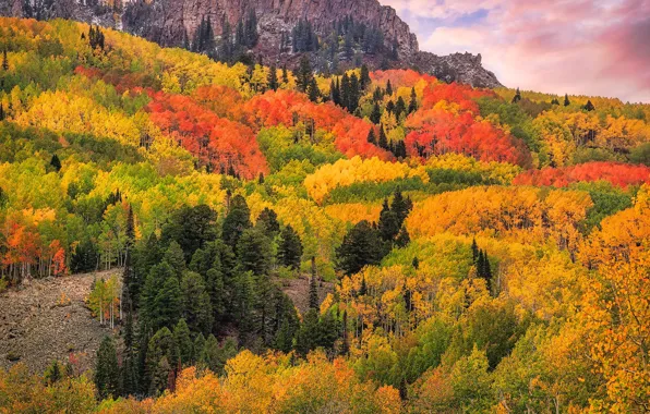 Autumn, forest, clouds, trees, mountains, rocks, Colorado, San Juan Mountains