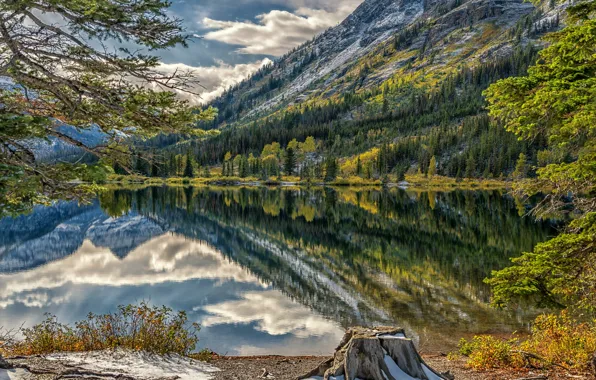 Trees, mountains, lake, stump