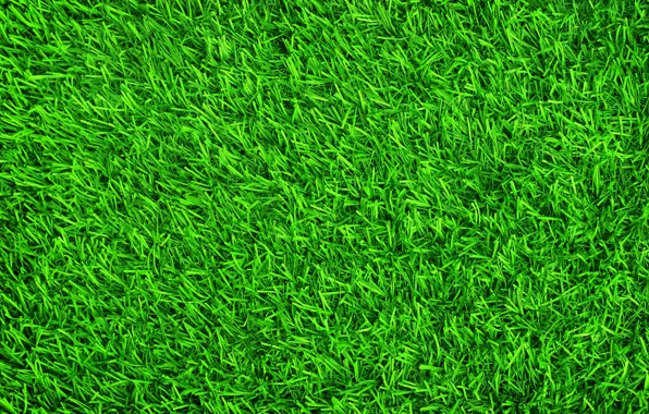 Grass, background, lawn, green, summer, grass, green