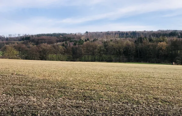 The sky, Clouds, Winter, Field, Germany, Forest, View, Landscape