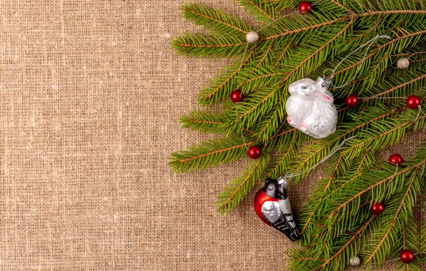 Balls, branches, rabbit, Christmas, New year, bird, needles, Bunny