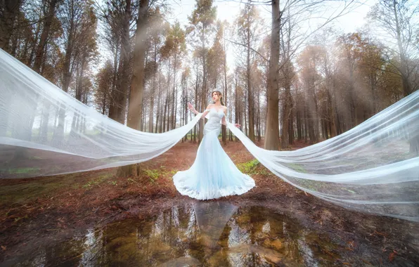 Picture autumn, forest, white, girl, rays, light, trees, landscape