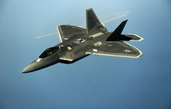 Fighter, unobtrusive, multipurpose, F-22 Raptor