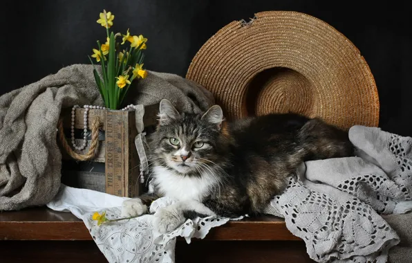 Cat, cat, flowers, the dark background, table, grey, bouquet, hat