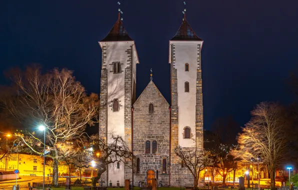 Trees, night, lights, home, area, Norway, lights, Church