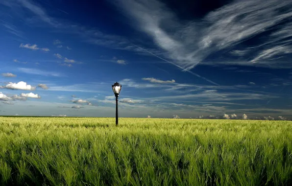 Field, clouds, lantern