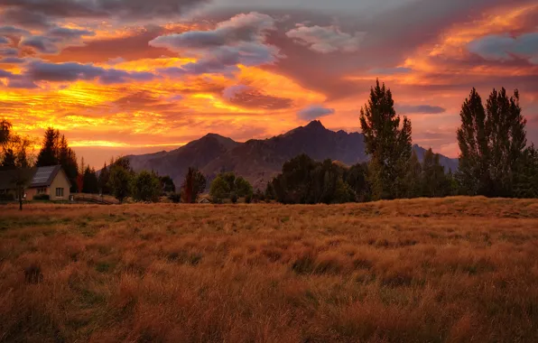 Field, autumn, grass, clouds, trees, landscape, sunset, mountains