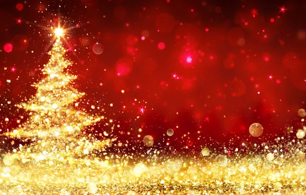 Lights, tree, Christmas