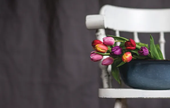 Background, bouquet, chair, tulips, basin