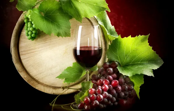 Wine, glass, grapes, barrel, vine