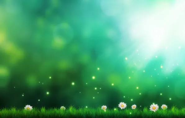 Grass, flowers, figure, chamomile, art, sparks, green background