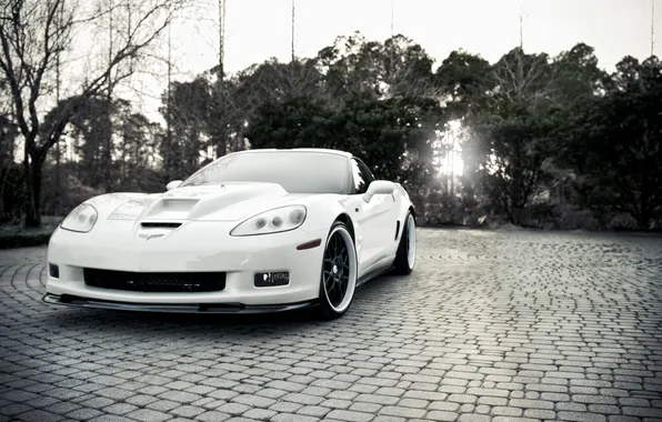 Light, trees, black and white, Chevrolet, white, corvette, zr1