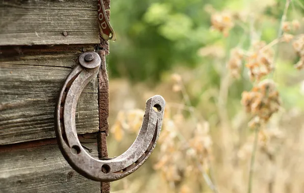 Horse, shoe, farm, shed, horseshoe, luck