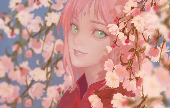 Picture girl, smile, Naruto, cherry blossom, Haruno Sakura, by translucent body