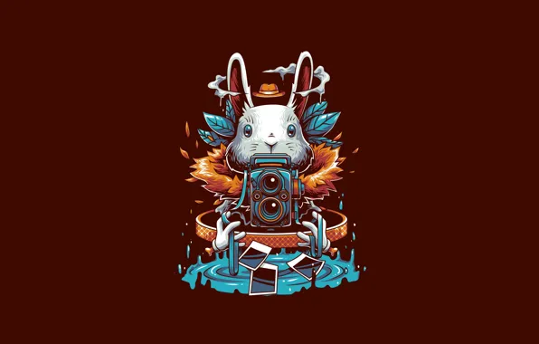 Picture Fantasy, Art, Vector, Camera, Background, Photography, Illustration, Ears