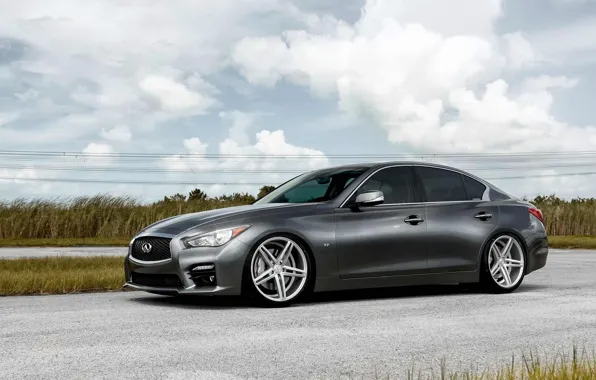 Infiniti, vossen, Q50