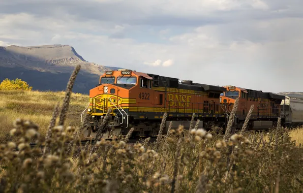 Picture nature, rails, train, cars, railroad, locomotive