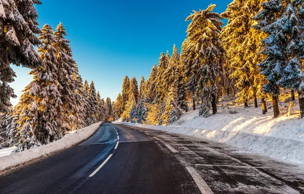 Winter, road, forest, the sky, asphalt, snow, trees, landscape