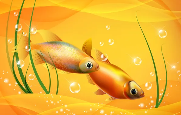 Picture fish, collage, the bottom, fish