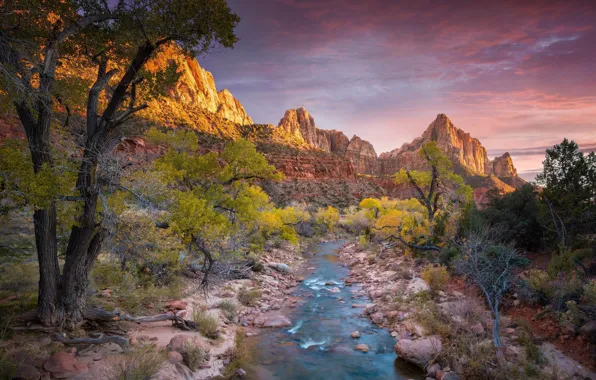 Clouds, trees, mountains, river, USA, Zion National Park, Utah, the beauty of nature