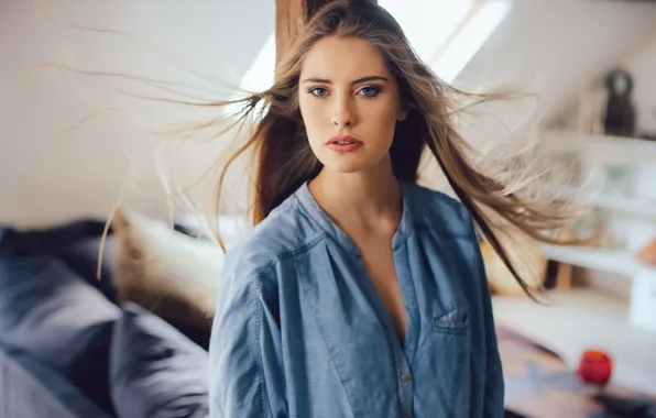 Picture look, girl, face, model, portrait, shirt, brown hair, blue-eyed