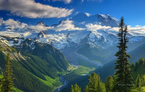 Forest, the sky, mountains, valley