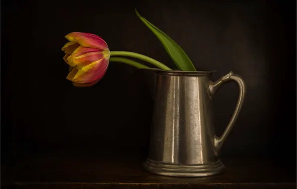 Red, mug, tulips