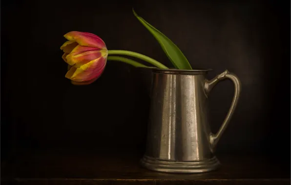 Red, Tulip, mug