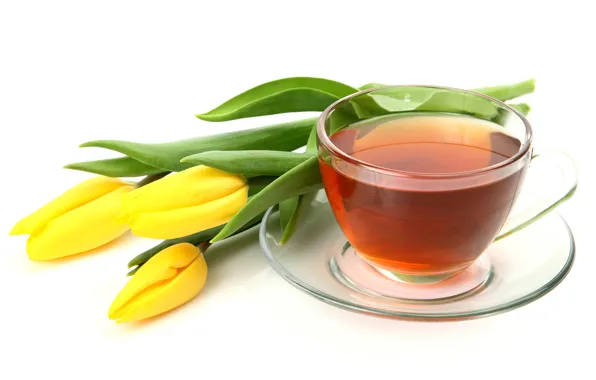 Glass, flowers, tea, yellow, Cup, tulips, white background, saucer