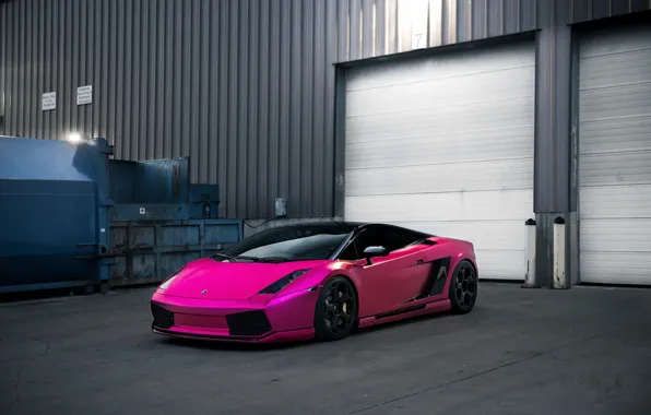 Pink, Gallardo, Black