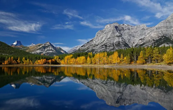 Autumn, trees, mountains, lake, reflection, Canada, Albert, Kananaskis