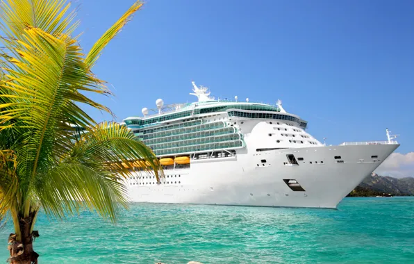 Picture palm trees, photo, ship, cruise liner
