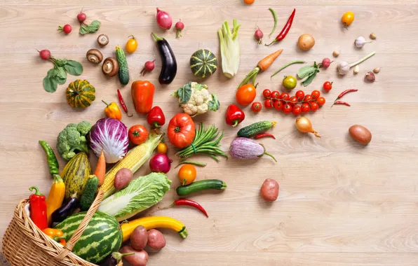 Basket, mushrooms, corn, watermelon, cucumber, eggplant, pumpkin, pepper