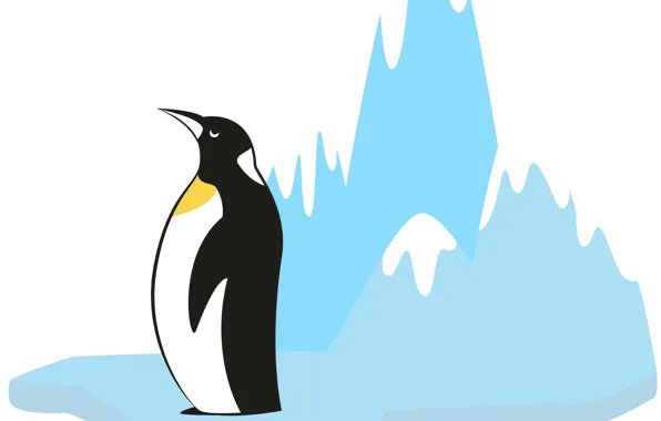 Background, penguins, ice