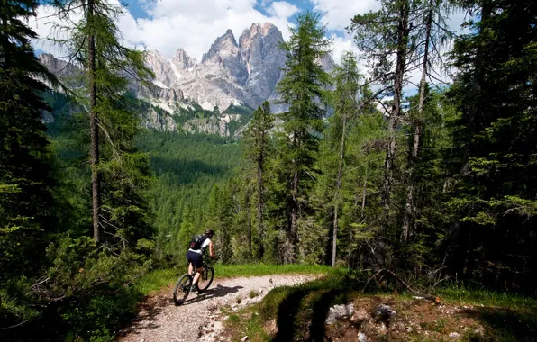 Picture forest, mountains, trail, athlete, cyclist
