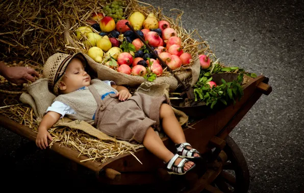 Boy, stroller, fruit