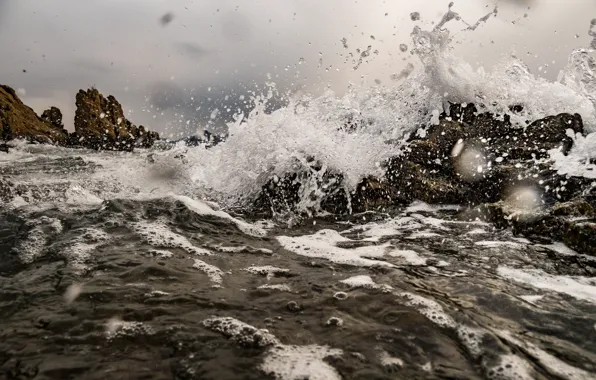 Picture sea, rocks, brushi