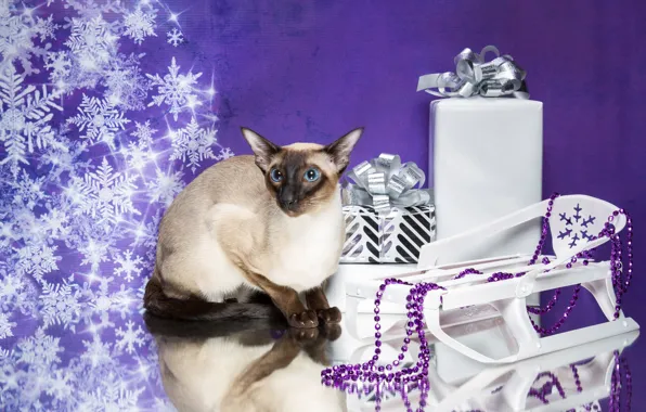 Cat, snowflakes, reflection, gifts, New year, beads, sled, cat