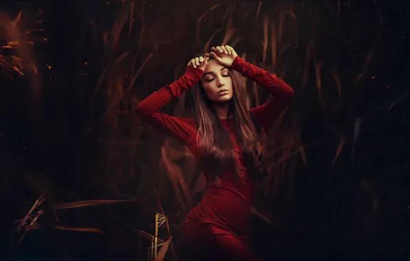 Dress, sponge, in red