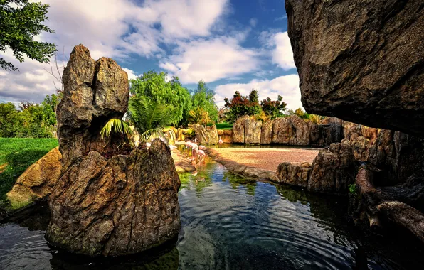 The sky, water, clouds, trees, birds, pond, Park, stones