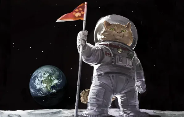 Picture cat, space, picture, flag, art, painting, Tomcat, painting