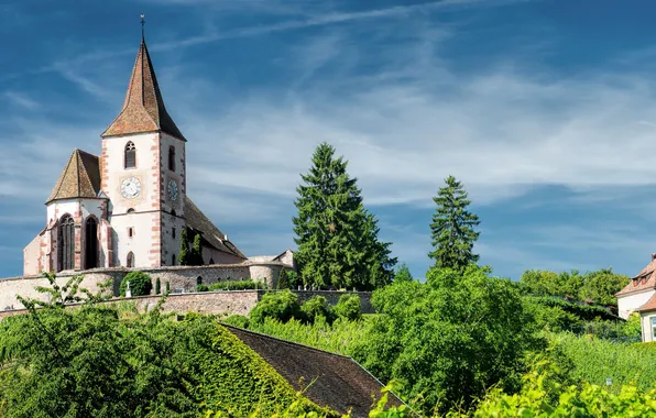 Trees, France, Church, France, Hunawihr, The hunawihr, Church of Saint-Jacques-Le-Mazher, Church Saint-Jacques-le-Majeur