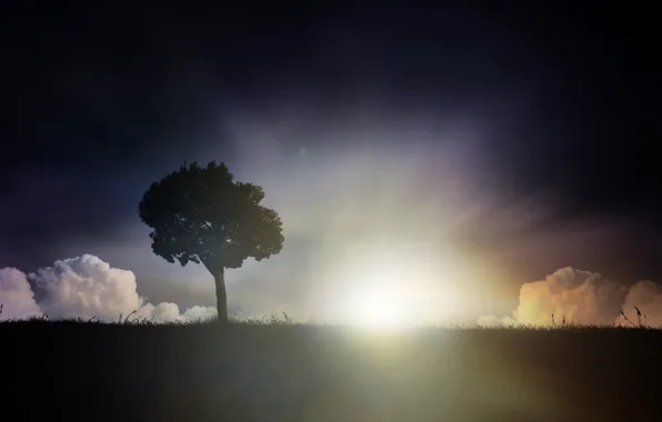 Field, grass, rays, light, trees, hills, Wallpaper, landscapes
