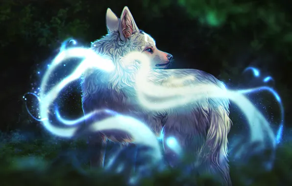 Picture nature, wolf, fantasy, by defineDEAD