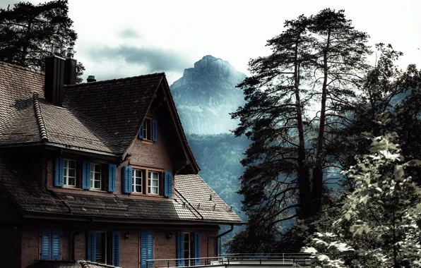 Picture trees, mountains, house, melancholy, cloudy sky