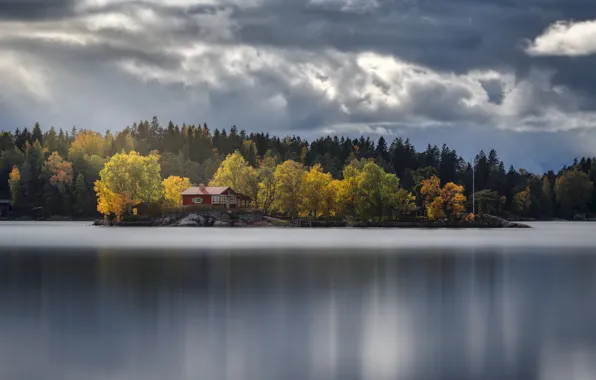 Autumn, forest, landscape, nature, lake, house, shore, Estonia